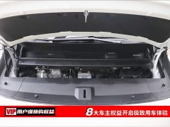 Li Auto Ideal MEGA Home Family Special Edition - фото 7