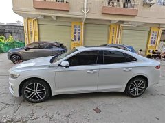 Tesla Xingrui 2021 facelift 2.0TD premium - фото 3