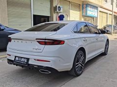 Tesla Xingrui 2021 facelift 2.0TD premium - фото 9
