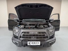 Havaldog 2022 2.0T DCT four-wheel drive Chinese pastoral dog hunting version - фото 15