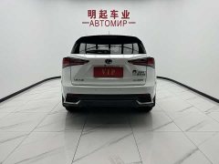 Lexus NX 2020 200 AWD Fengshang Edition National VI - фото 10