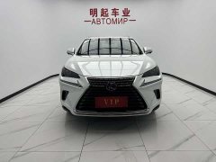 Lexus NX 2020 200 AWD Fengshang Edition National VI - фото 2