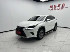 Lexus NX 2020 200 AWD Fengshang Edition National VI - фото 4