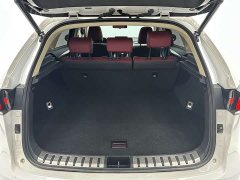 Lexus NX 2020 200 AWD Fengshang Edition National VI - фото 18