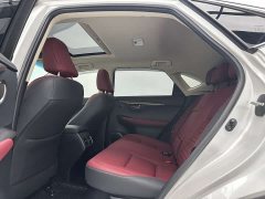 Lexus NX 2020 200 AWD Fengshang Edition National VI - фото 6