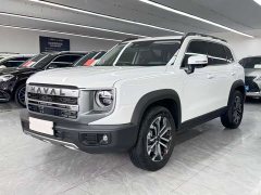 Haval Big Dog 2024 1.5T DCT Border Collie Edition - фото 1