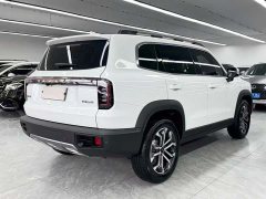 Haval Big Dog 2024 1.5T DCT Border Collie Edition - фото 6