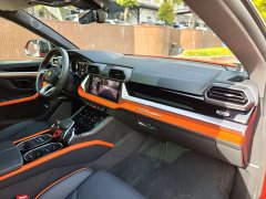 Lamborghini Urus SE 2025 4.0T Standard Edition - фото 12