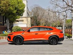 Lamborghini Urus SE 2025 4.0T Standard Edition - фото 7