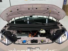 BYD Seagull 2025 Smart Driving Edition 305km Vitality Edition - фото 16