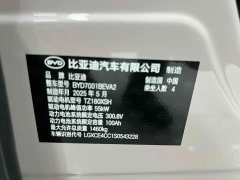 BYD Seagull 2025 Smart Driving Edition 305km Vitality Edition - фото 18