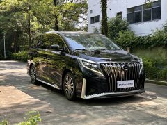 Trumpchi M8 2020 Pilot 390T Extreme Edition - фото 3