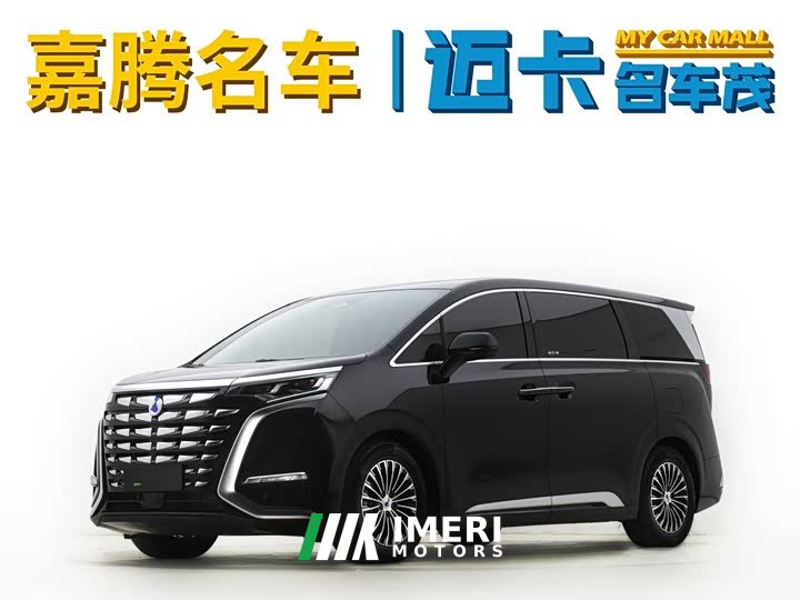 Denza D9 2024 DM-i 980 four-wheel drive premium - автомобиль из Китая