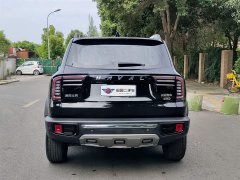 Haval Big Dog 2022 2.0T DCT four-wheel drive Chinese pastoral dog version - фото 5