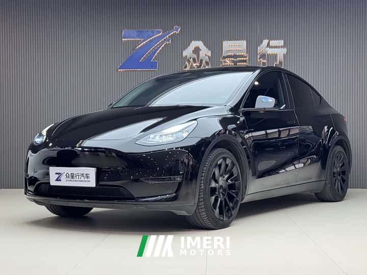 Tesla Model Y standard range rear-wheel drive version - автомобиль из Китая