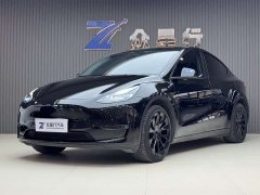 Tesla Model Y standard range rear-wheel drive version - фото 1