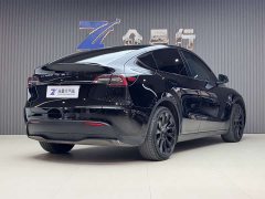 Tesla Model Y standard range rear-wheel drive version - фото 9