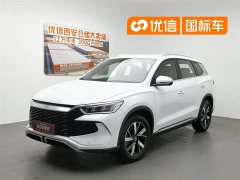 BYD Song Pro New Energy Honor Edition DM-i 71KM Pilot - фото 1