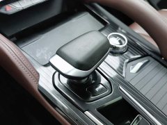 Geely Xingyue L 2.0TD high-power automatic two-wheel drive cloud version - фото 13