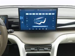 BYD Song Pro DM-i 51km Premium - фото 12