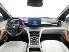 BYD Song Pro DM-i 51km Premium - фото 5