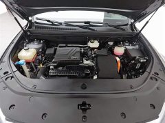BYD Song Pro DM-i 51km Premium - фото 6