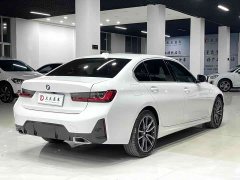 BMW 3 Series 320Li M Sport Package - фото 4