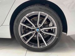 BMW 3 Series 320Li M Sport Package - фото 16