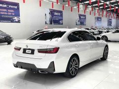 BMW 3 Series 320Li M Sport Package - фото 6