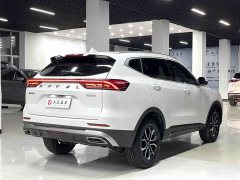 Haval H6 2021 Guochao Edition 1.5T Automatic Urban Edition - фото 6