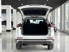 Haval H6 2021 Guochao Edition 1.5T Automatic Urban Edition - фото 14