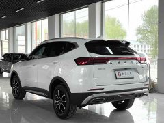Haval H6 2021 Guochao Edition 1.5T Automatic Urban Edition - фото 4