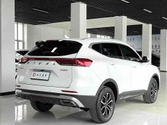Haval H6 2021 Guochao Edition 1.5T Automatic Urban Edition - фото 6
