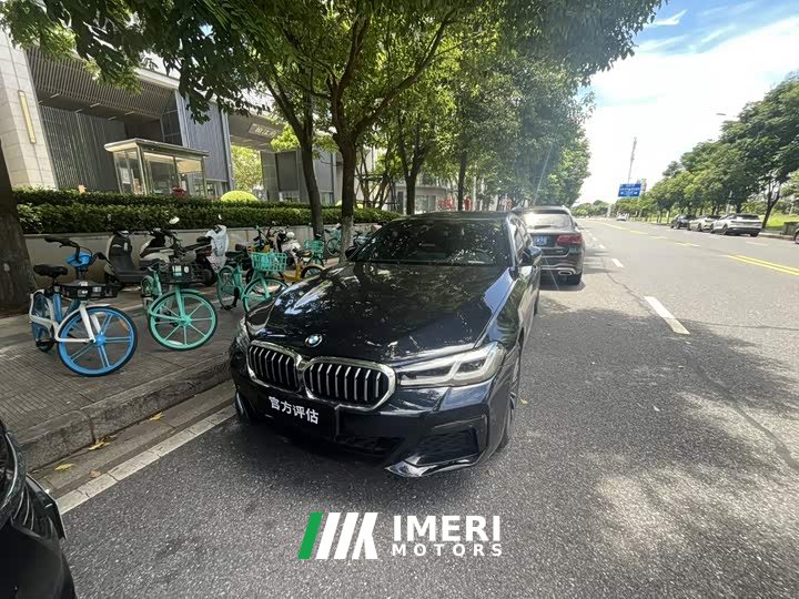BMW 5 Series 530Li leading M sports package - автомобиль из Китая