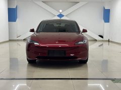 Tesla Model 3 2023 rear-wheel drive version - фото 9