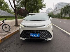 BYD Century 2.0T seven-seat Yuanshi Edition - фото 1