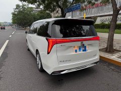 BYD Century 2.0T seven-seat Yuanshi Edition - фото 7