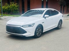 BYD Qin PLUS Champion Edition DM-i 55KM Leading Type - фото 1