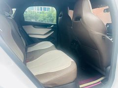 BYD Qin PLUS Champion Edition DM-i 55KM Leading Type - фото 13