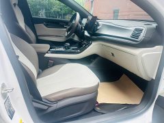 BYD Qin PLUS Champion Edition DM-i 55KM Leading Type - фото 14