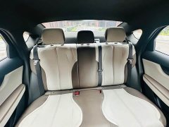 BYD Qin PLUS Champion Edition DM-i 55KM Leading Type - фото 15
