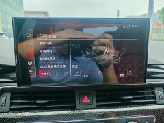 Audi S4 3.0TFSI - фото 12