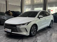 BYD Destroyer 05 Honor Edition DM-i 55KM Luxury Type - фото 1