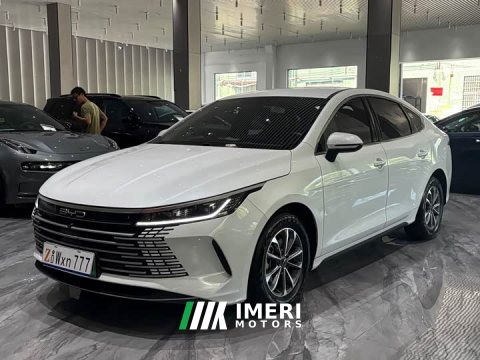 2024 Destroyer 05 2024 Honor Edition DM-i 55KM Luxury Type - автомобиль из Китая