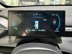 BYD Destroyer 05 Honor Edition DM-i 55KM Luxury Type - фото 16