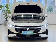 Voyah Lantu Zhuiguang PHEV AWD Ultra-Long Range Executive Edition - фото 15