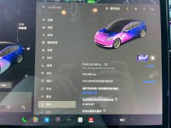 Tesla Model 3 Standard Range Rear Drive Upgraded Version - фото 14