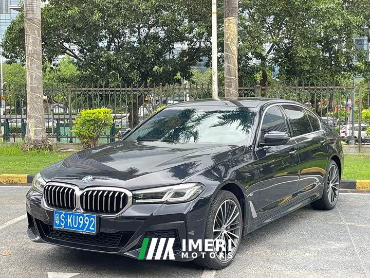 BMW 5 Series 530Li leading M sports package - автомобиль из Китая