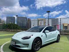 Tesla Model 3 Performance high-performance all-wheel drive version - фото 1