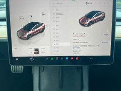 Tesla Model 3 Performance high-performance all-wheel drive version - фото 13